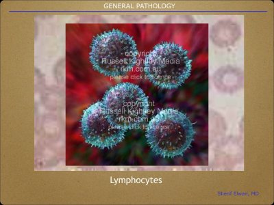 Pathology General.014.jpeg