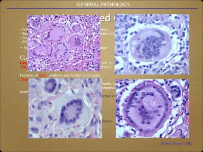 Pathology General.019.jpeg
