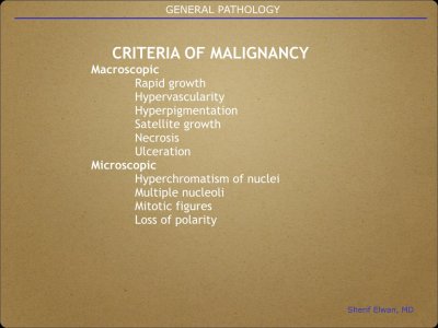 Pathology General.021.jpeg