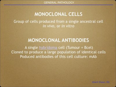 Pathology General.023.jpeg