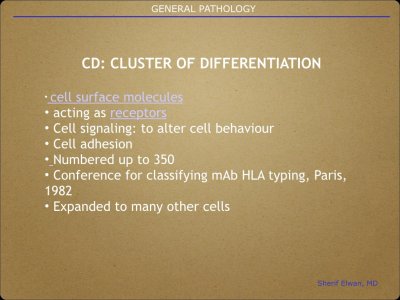 Pathology General.027.jpeg