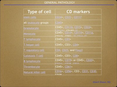 Pathology General.029.jpeg