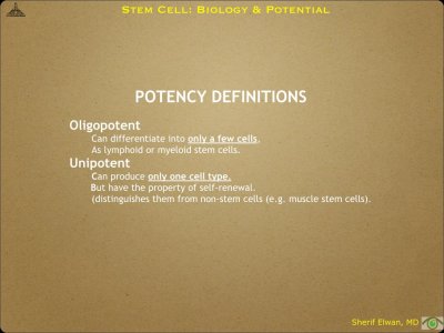 Pathology - Stem Cell.007.jpeg