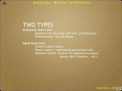 Pathology - Stem Cell.008.jpeg