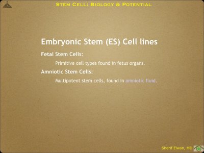 Pathology - Stem Cell.010.jpeg