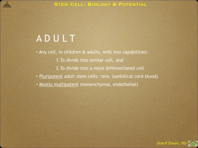 Pathology - Stem Cell.011.jpeg