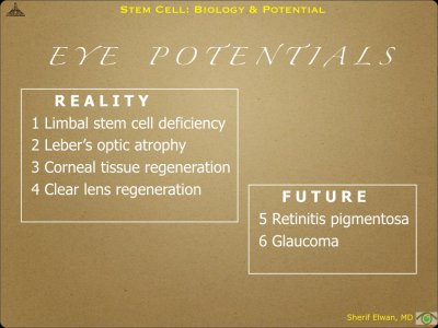Pathology - Stem Cell.015.jpeg