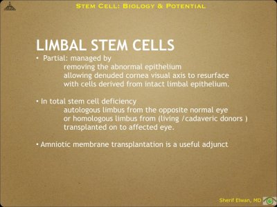Pathology - Stem Cell.018.jpeg