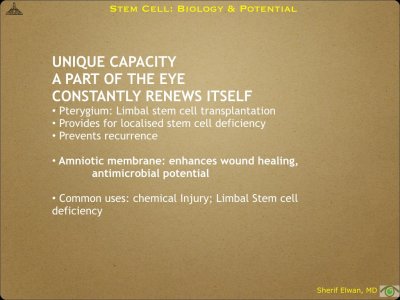 Pathology - Stem Cell.020.jpeg