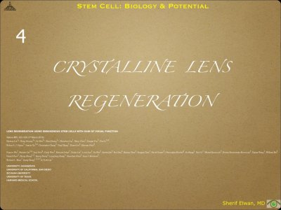 Pathology - Stem Cell.033.jpeg