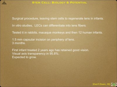 Pathology - Stem Cell.035.jpeg