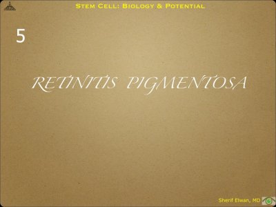 Pathology - Stem Cell.037.jpeg