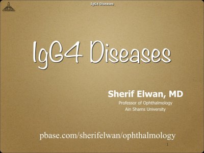 IgG4 Diseases