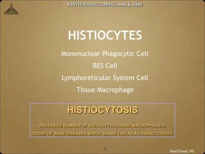Pathology - Orbit.003.jpeg