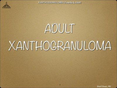 Pathology - Orbit.007.jpeg