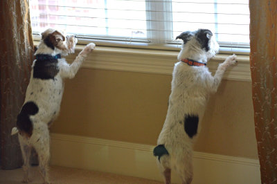 Waiting for Mom
