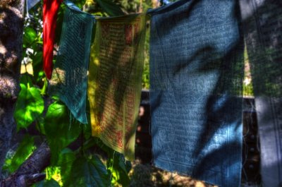 Cloth