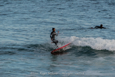 Surf's Up!