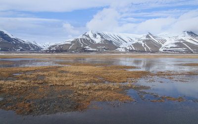 Landschap / Landscape