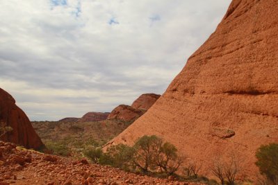 IMG_2037.JPG