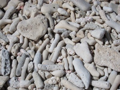 Beach Rocks, Bonaire