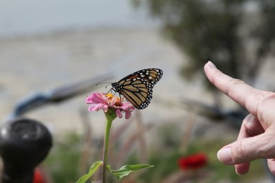 Reach Out and Touch
