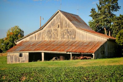 Shed on Conway Road