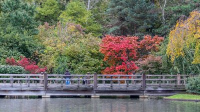 Missouri Botanical Garden