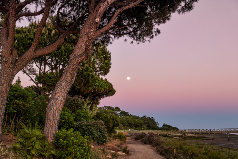 Algarve-81.jpg