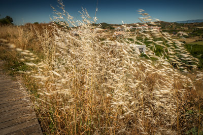 Algarve-153.jpg