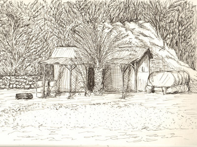 Shack on beach 2