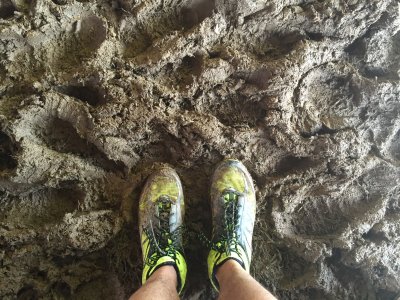Done and muddy.jpg
