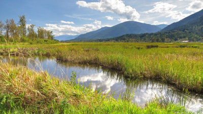 Creston Valley Wildlife Management Area, Creston, British Columbia