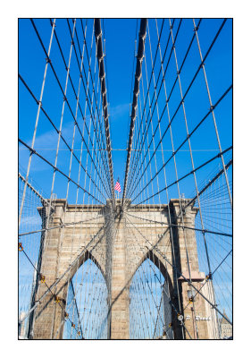 Under the cables of Brooklyn Bridge - New York - 8612