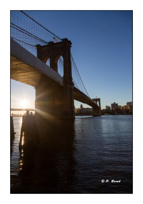 Under Brooklyn Bridge - NewYork - 7232
