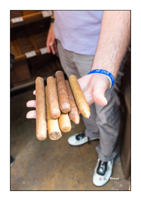 Hand rolled Cigars - Little Italy of the Bronx - NewYork - 2447