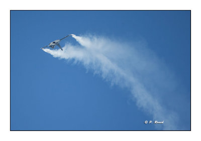 La Ferté Alais 2014 - Rafale - 7759