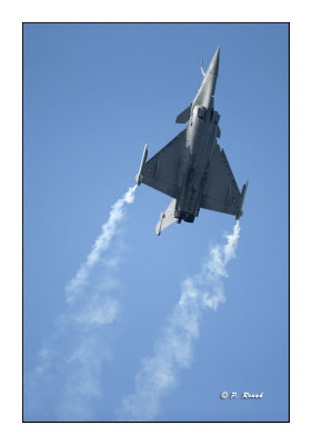 La Ferté Alais 2014 - Rafale - 7878