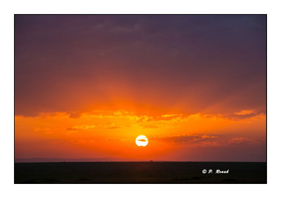 Kenya - Sunrise in the Masai Mara - 3478
