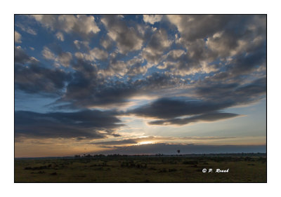 Masai Mara - Kenya - Sunrise - 7780