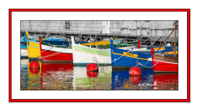 Pointus en couleurs - Port de Commerce - Nice - 4773