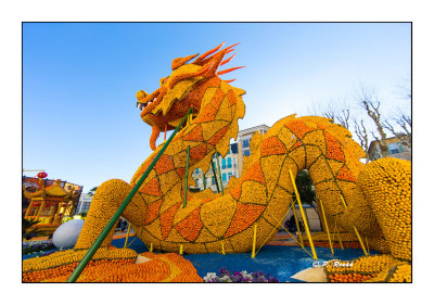 Menton - Ftes des Citrons - Dragon - 0633