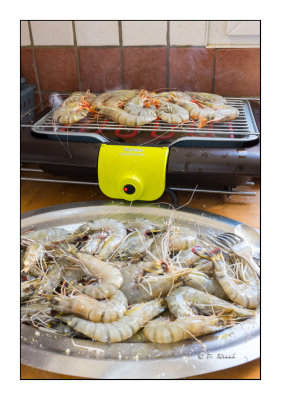 Crevettes au barbecue - 7345