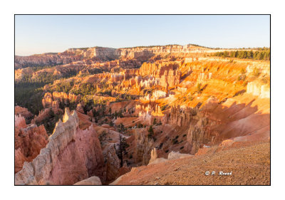 Jour 6 - Sunrise at Bryce Canyon - 7744