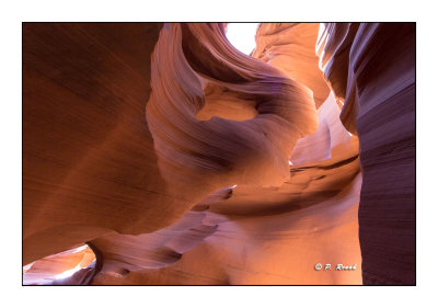 Jour 8 - Page AZ - Lower Antelope Canyon - Lady in the Wind - 8715
