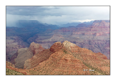 Jour 11 - Grand Canyon National Park - 0643