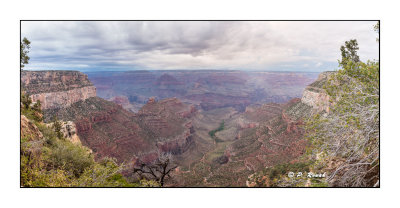 Jour 12 - Grand Canyon National Park - 0905