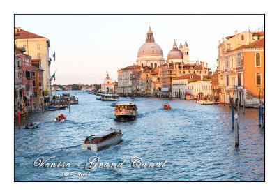 Grand Canal - Venezia - 3988