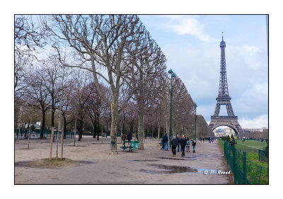 Paris - Tour Eiffel - Fvrier 2016 - 9447