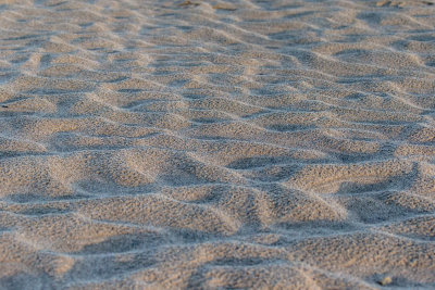 Camargue - mai 2016 - sable - 10